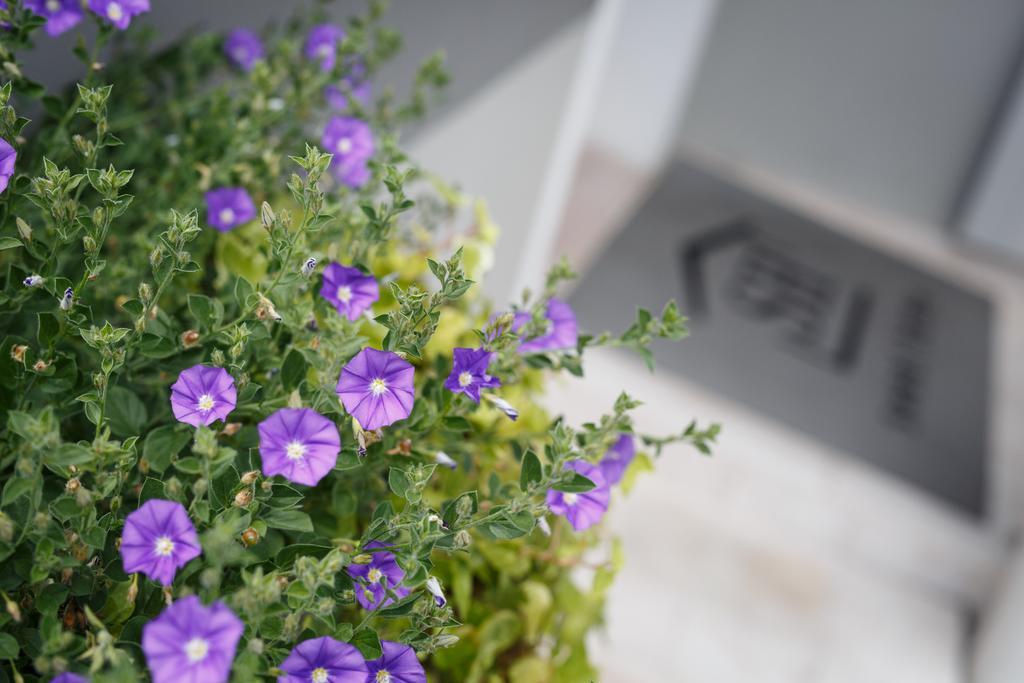Sweet Home Treviso Exterior foto